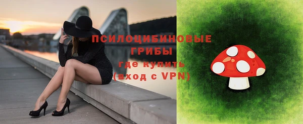 прущие крисы Алексин