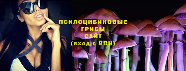 прущие крисы Алексин
