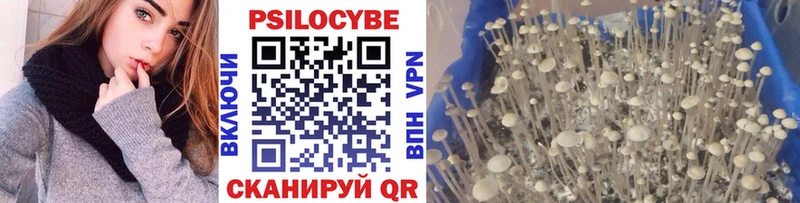 Псилоцибиновые грибы мицелий  omg как зайти  Красногорск 